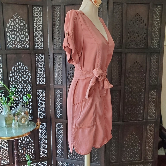 Pilcro and the Letterpress pink Lyocell dress - Picture 4 of 16